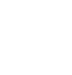 CEOCAPITAL